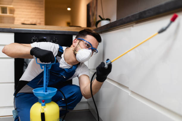 Best Pest Prevention Services  in Upper Pohatcong, NJ