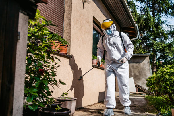 Best Bird Control  in Upper Pohatcong, NJ