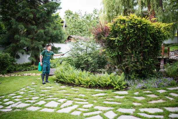 Wasp Removal Services in Upper Pohatcong, NJ