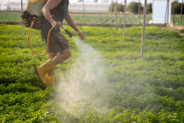 Best Ant Control Services  in Upper Pohatcong, NJ