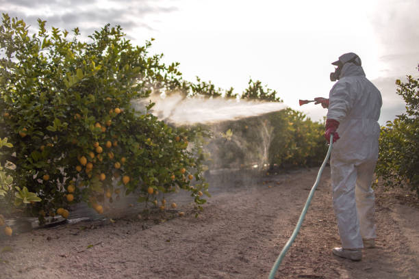 Best Best Pest Control Companies  in Upper Pohatcong, NJ