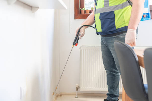 Best Emergency Pest Control  in Upper Pohatcong, NJ