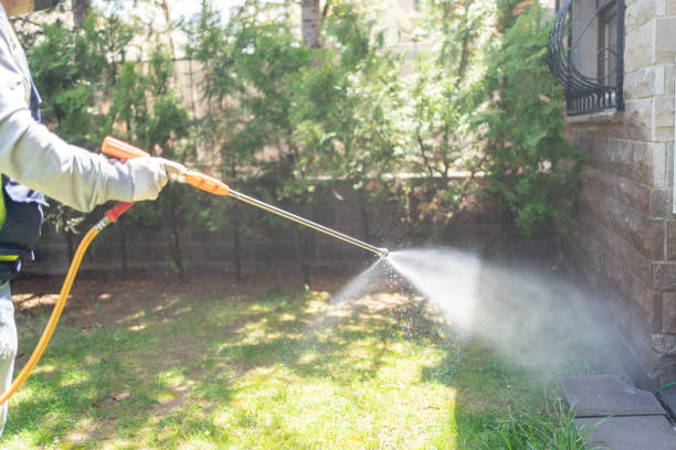 Professional Pest Control in Upper Pohatcong, NJ