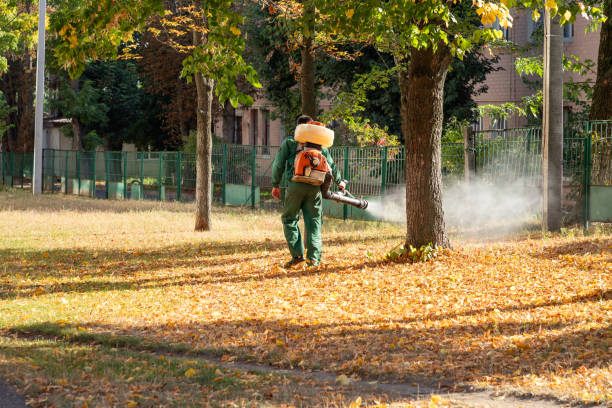 Trusted Upper Pohatcong, NJ Pest Control Experts