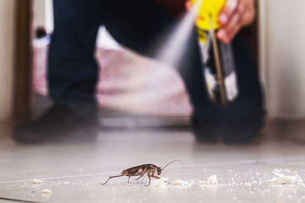 Best Mosquito Control Services  in Upper Pohatcong, NJ