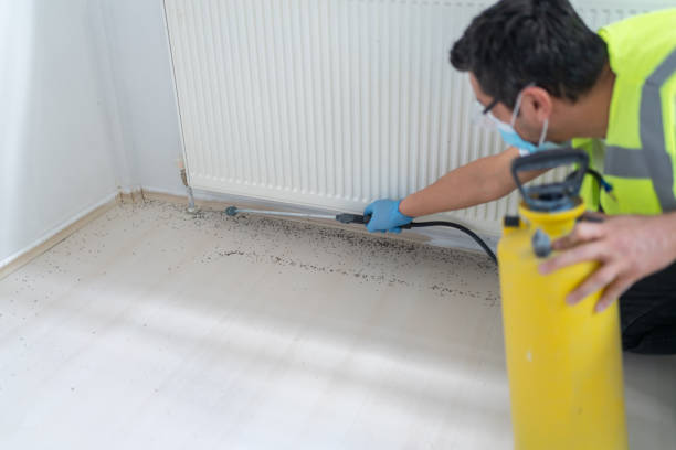 Best Residential Pest Control  in Upper Pohatcong, NJ