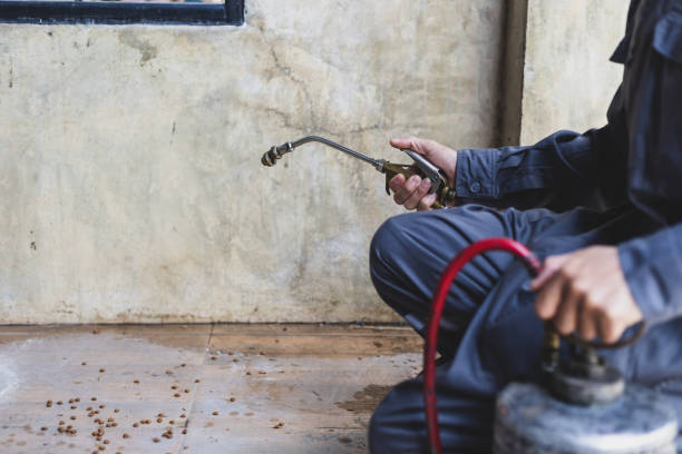 Best Residential Pest Control  in Upper Pohatcong, NJ
