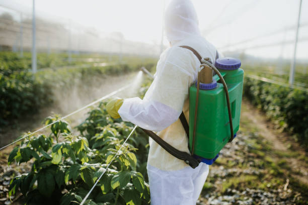 Best Pest Inspection Near Me  in Upper Pohatcong, NJ